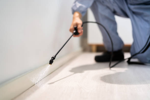 Licensed Wasp Removal service in Atmore, AL - Show Me Pest Control