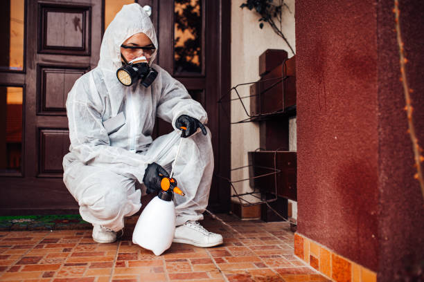 Reliable Wasp Removal contractor in Atmore, AL by Show Me Pest Control